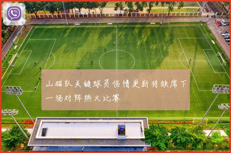 山猫队关键球员伤情更新将缺席下一场对阵热火比赛