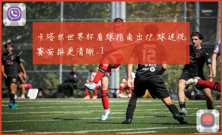 卡塔尔世界杯看球指南出炉 球迷观赛安排更清晰_1