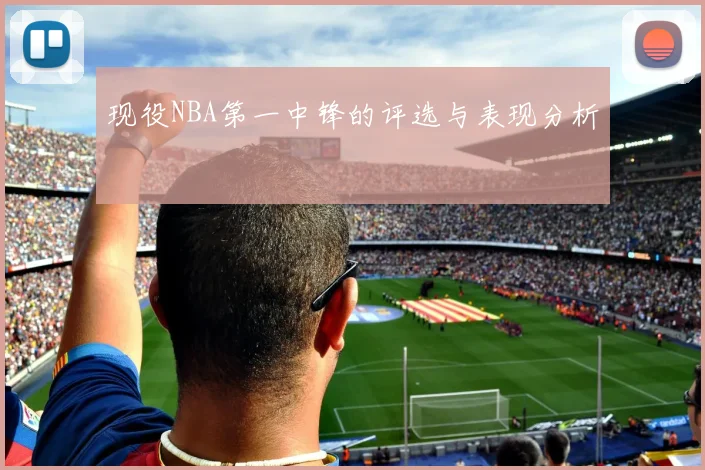 现役NBA第一中锋的评选与表现分析