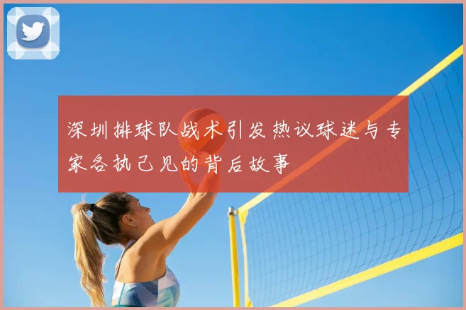 深圳排球队战术引发热议球迷与专家各执己见的背后故事