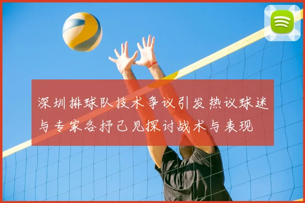 深圳排球队技术争议引发热议球迷与专家各抒己见探讨战术与表现