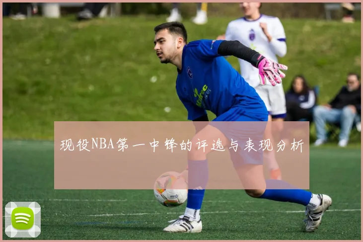 现役NBA第一中锋的评选与表现分析