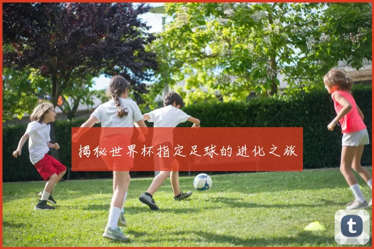 揭秘世界杯指定足球的进化之旅