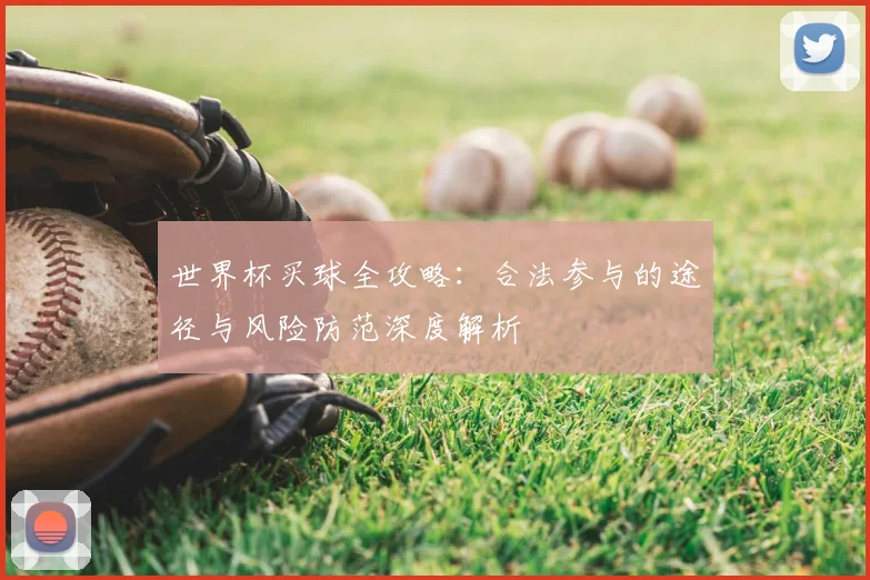 世界杯买球全攻略:合法参与的途径与风险防范深度解析