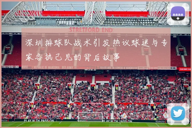 深圳排球队战术引发热议球迷与专家各执己见的背后故事